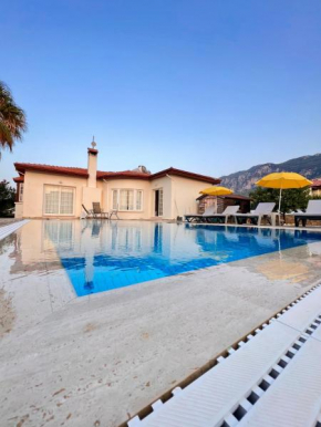 Villa Lapethos